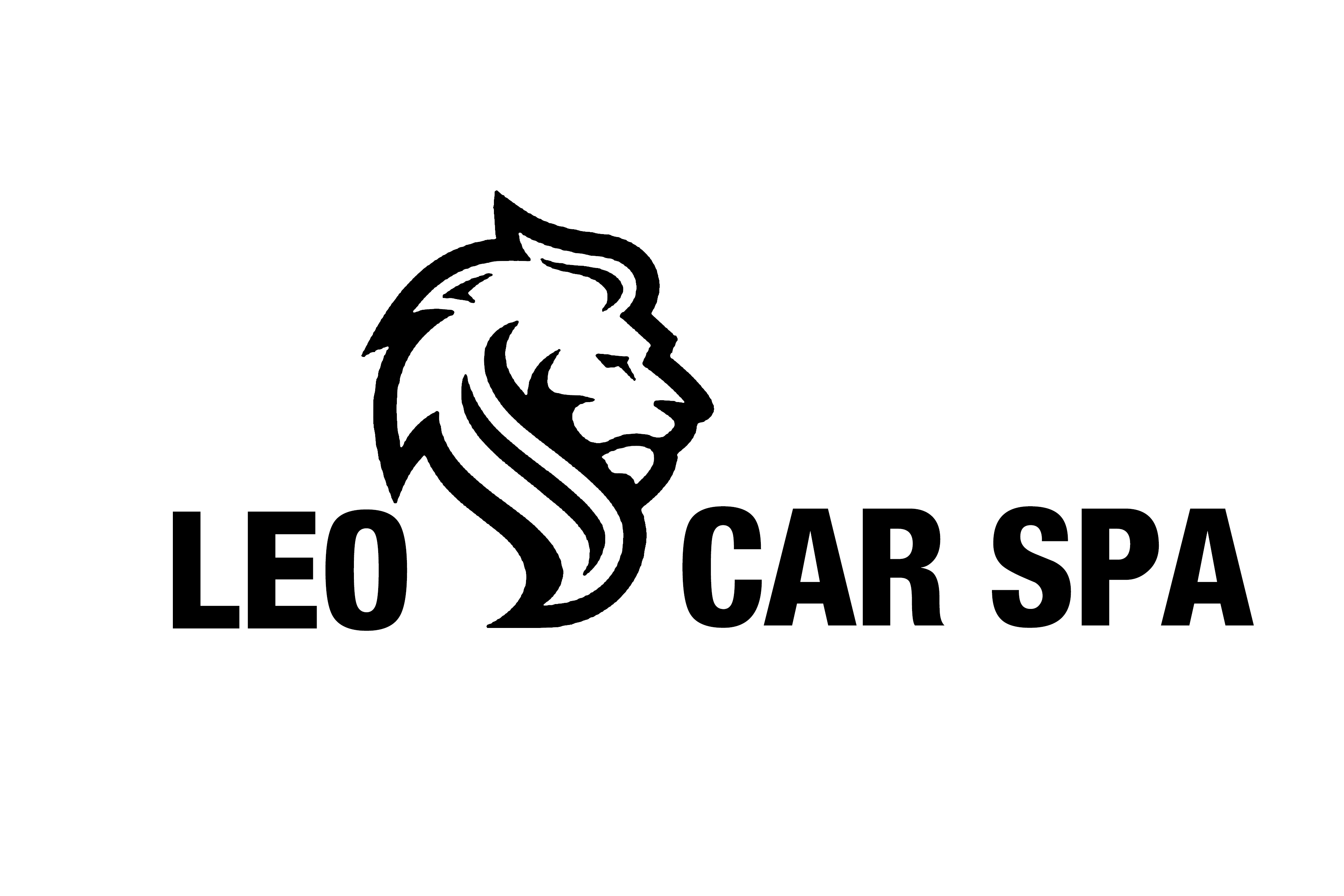 Leo Car Spa